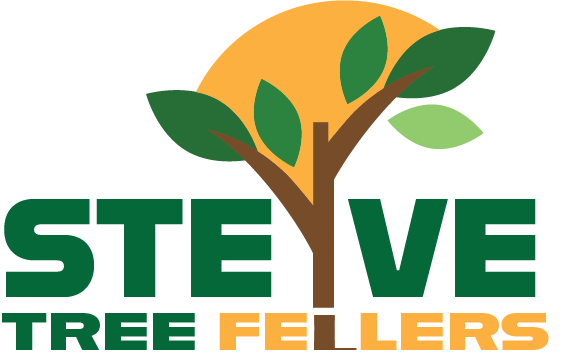 STEVETF LOGO